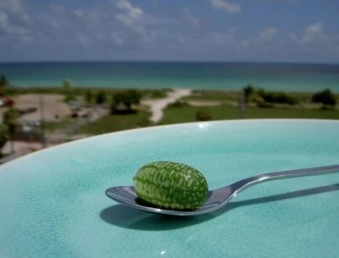 Τα μικρότερα καρπούζια του κόσμου - Έχουν μήκος 3 εκατοστά (φωτο)